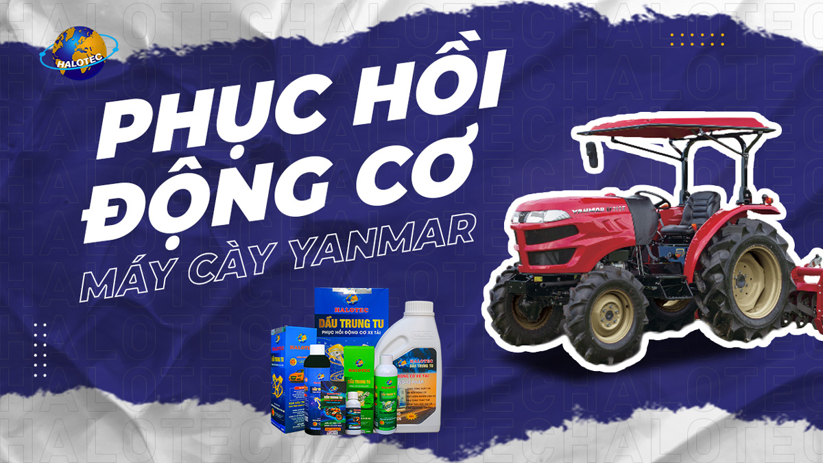 Đổ dầu trung tu halotec phục hồi động cơ cho máy cày yanmar