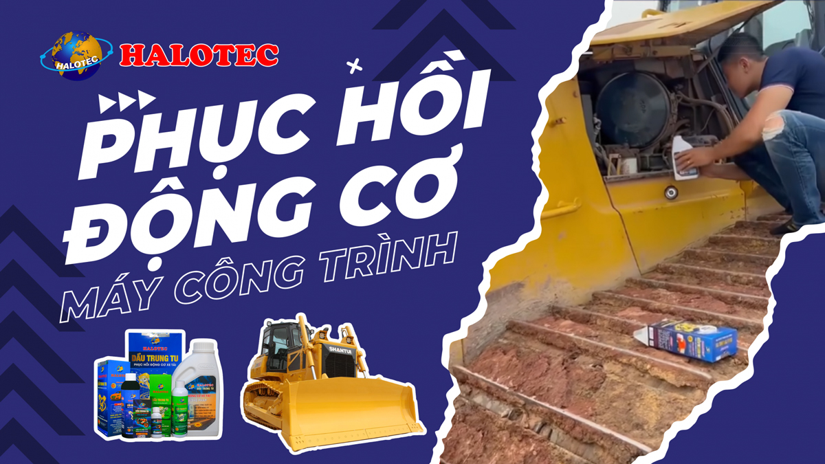 Đổ dầu phục hồi động cơ Halotec cho máy công trình